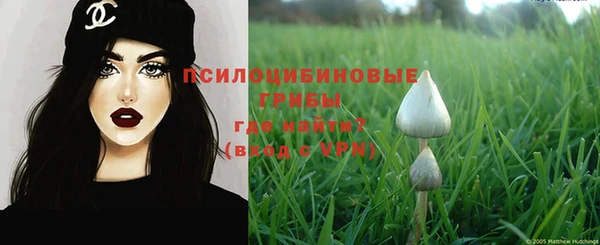 молекула духа Лабытнанги