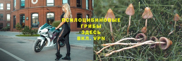 прущий лед Кулебаки