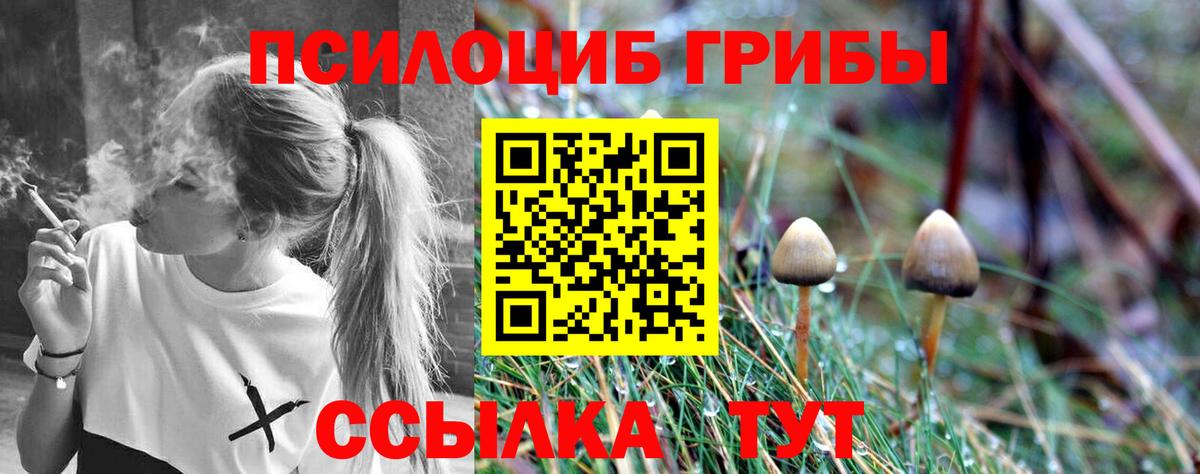 Галлюциногенные грибы GOLDEN TEACHER  Вход с VPN  Курчатов 